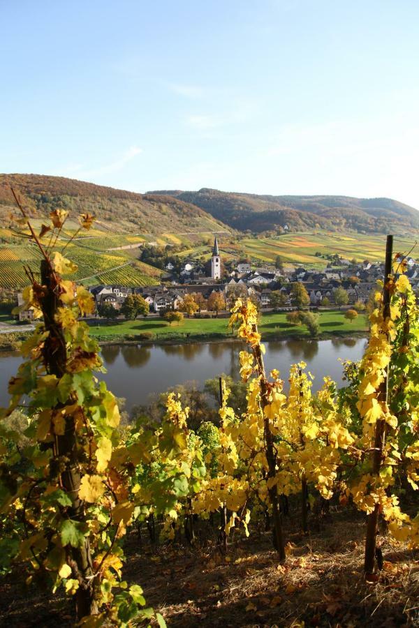 Ferienwohnung Moselblick-Stein Valwig Luaran gambar
